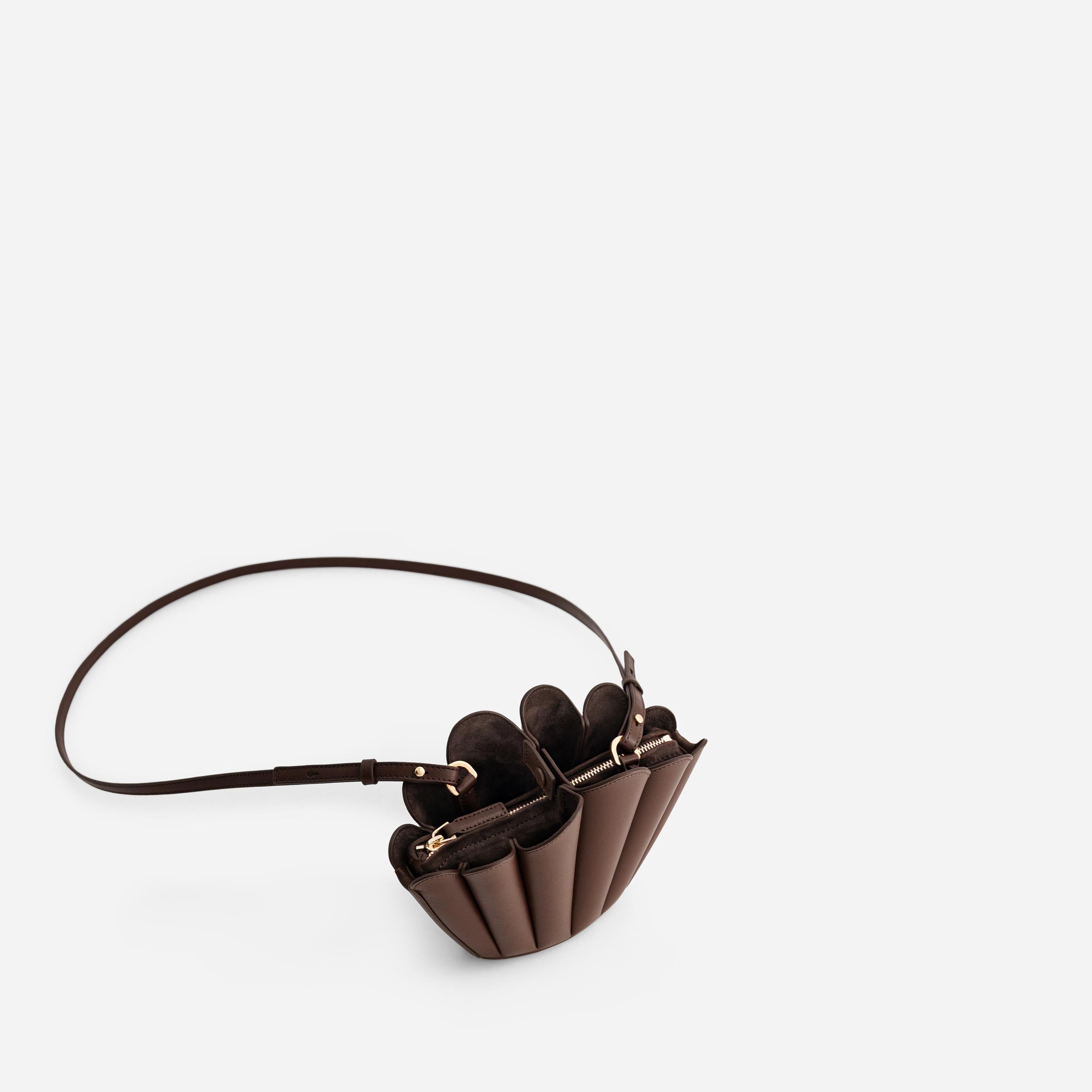 Micro Seashell - Espresso